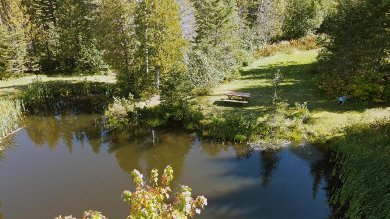 La Cabane Secrete Matane Eksteriør billede