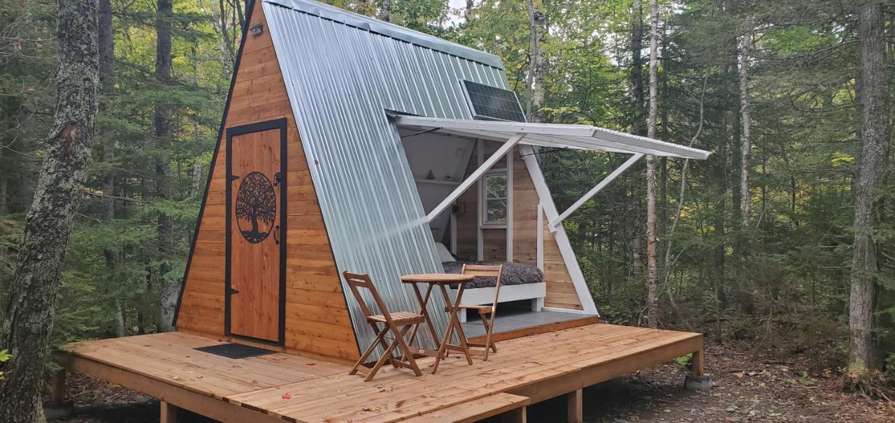 La Cabane Secrete Matane Eksteriør billede