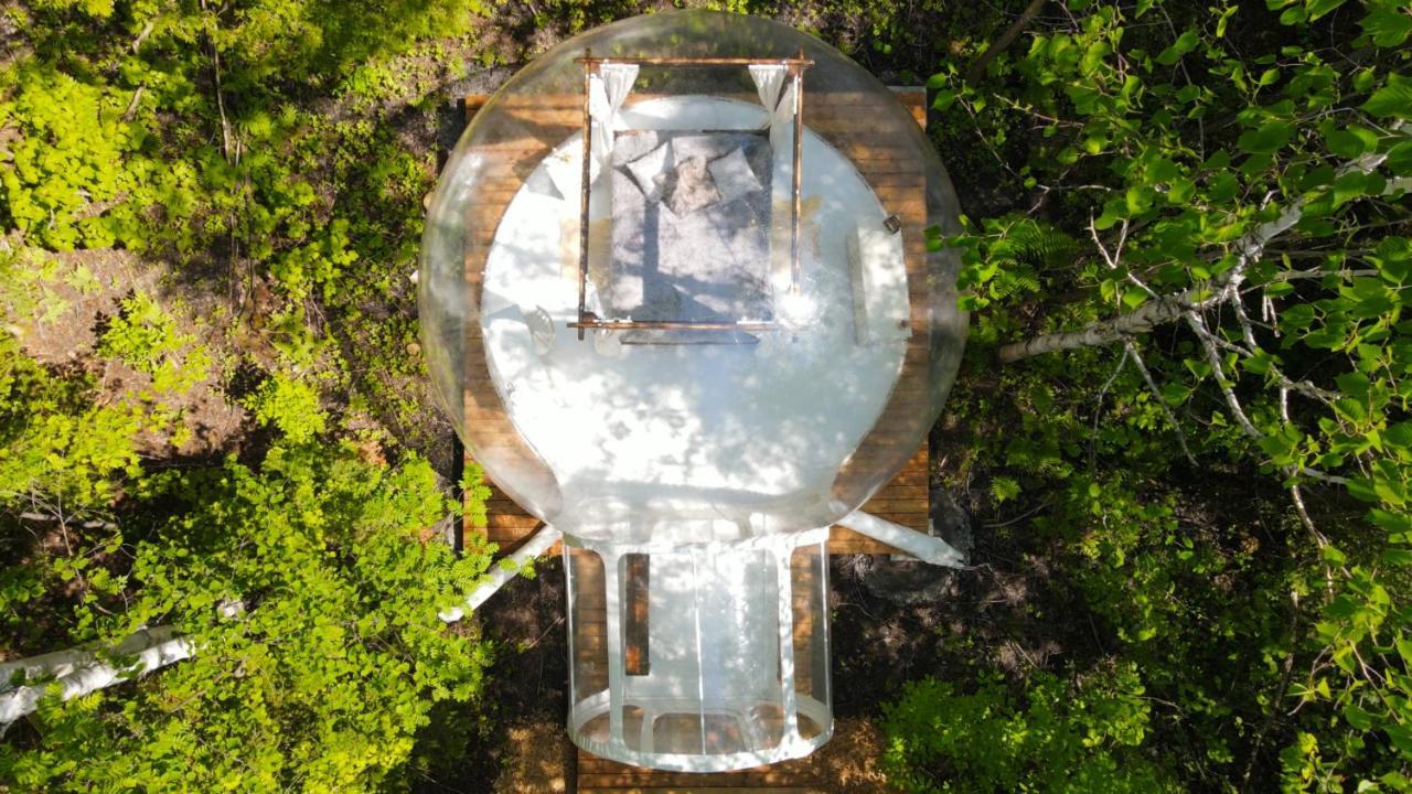 La Cabane Secrete Matane Eksteriør billede
